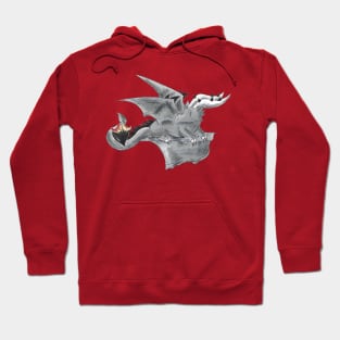 Perched Couple Hoodie